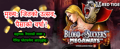 दैनिक बोनस र ठूला पुरस्कारहरू